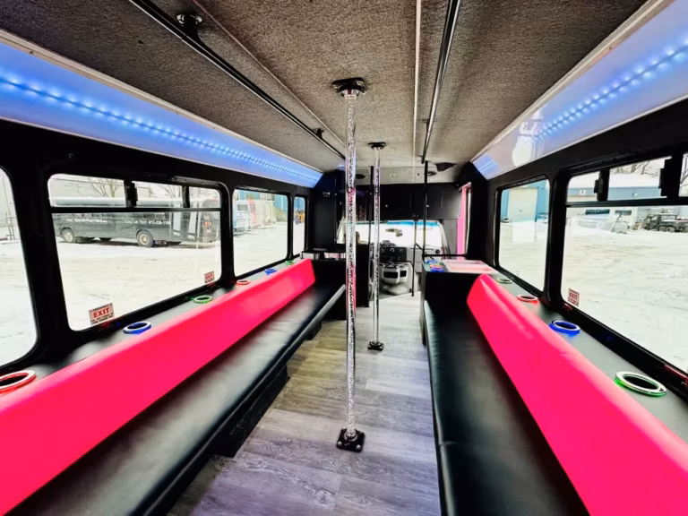 The Bachelorette Party Bus 20 Seats 15