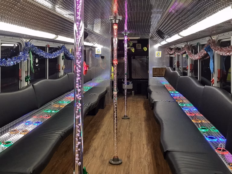 The Black Onyx Party Bus Wedding