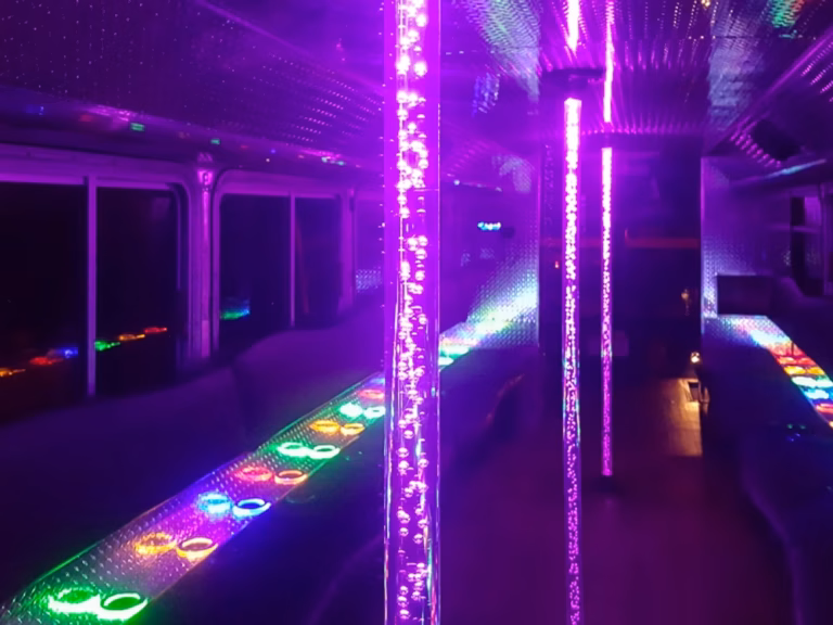 The Black Onyx Party Bus Wedding