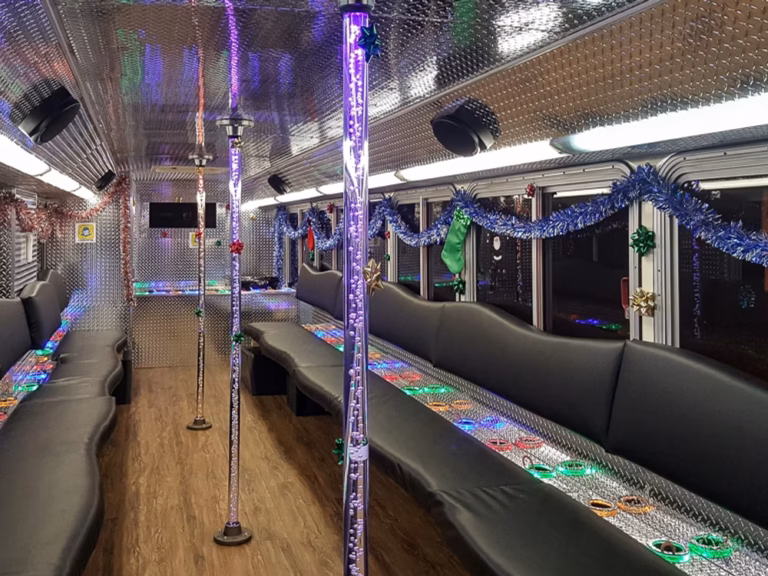The Black Onyx Party Bus Wedding