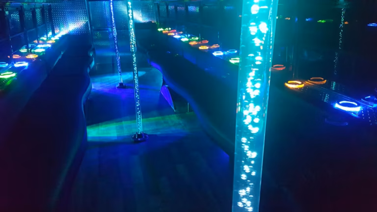 The Black Phantom Party Bus 16 Blue Poles