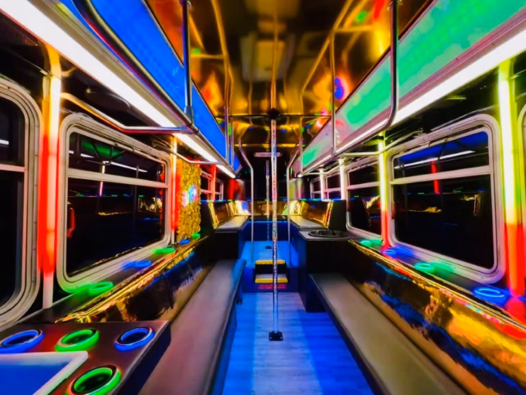 The Black Stallion Party Bus 11 Plymouth MN
