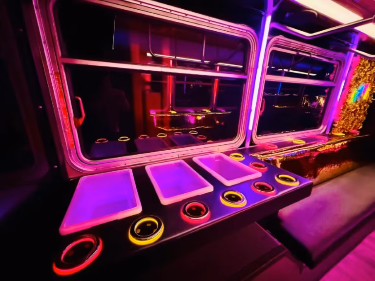 The Black Stallion Party Bus 17 Dance