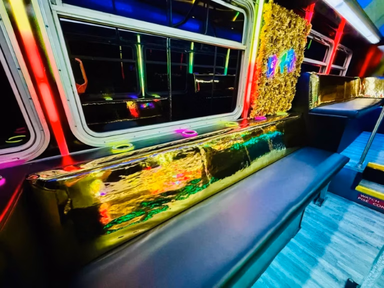 The Black Stallion Party Bus 18 School