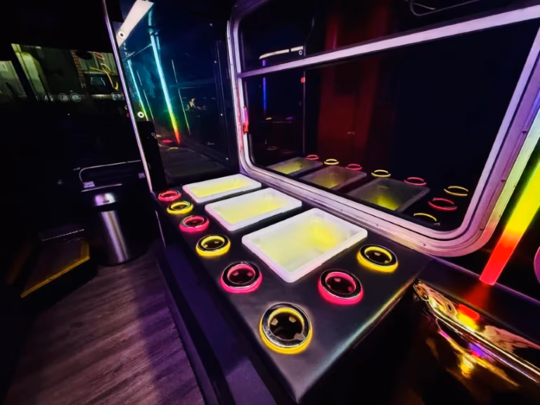 The Black Stallion Party Bus 28 City Tours
