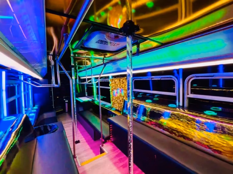 The Black Stallion Party Bus 29 Transportation