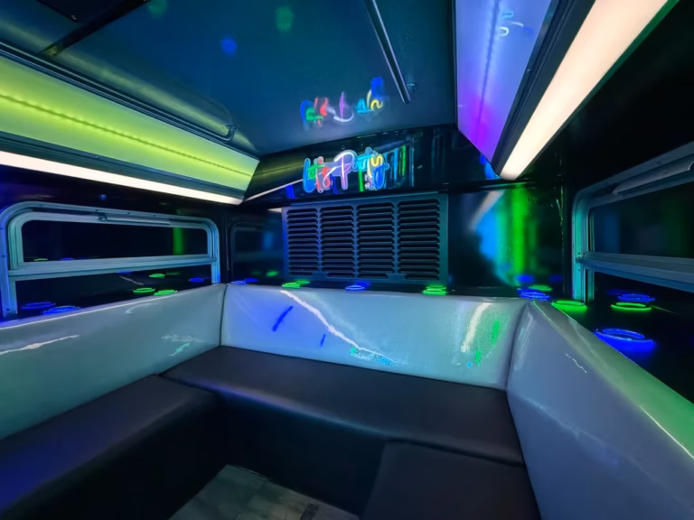 The Bling Bling Party Bus 17 Vikings 1000w