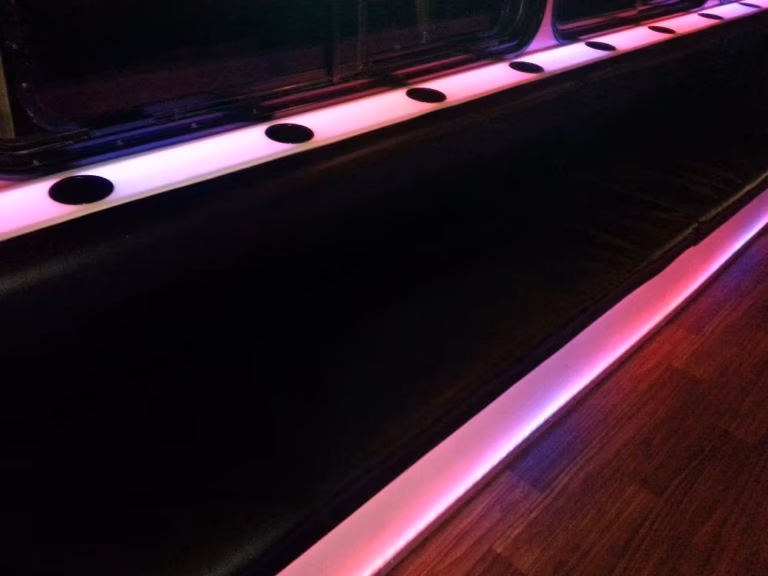 The Pink Diamond Party Bus 15