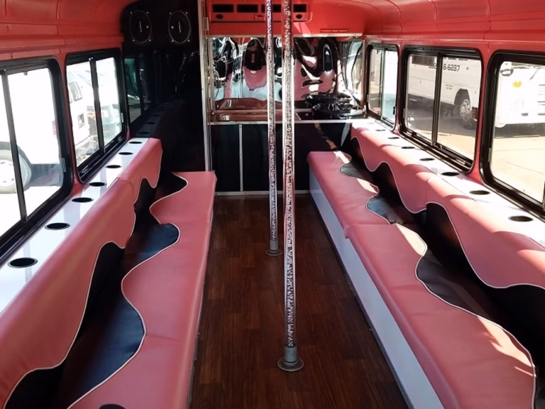 The Pink Diamond Party Bus 5
