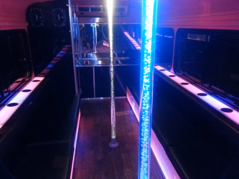 The Pink Diamond Party Bus 8