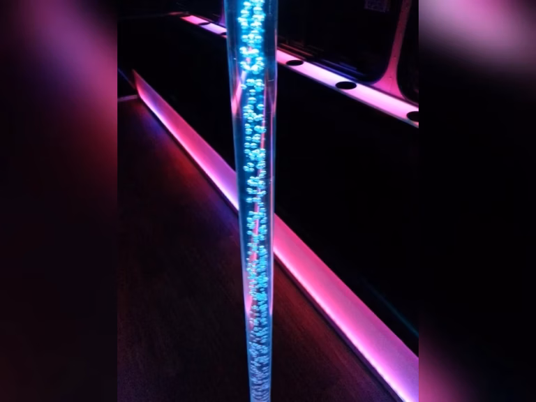 The Pink Diamond Party Bus 9