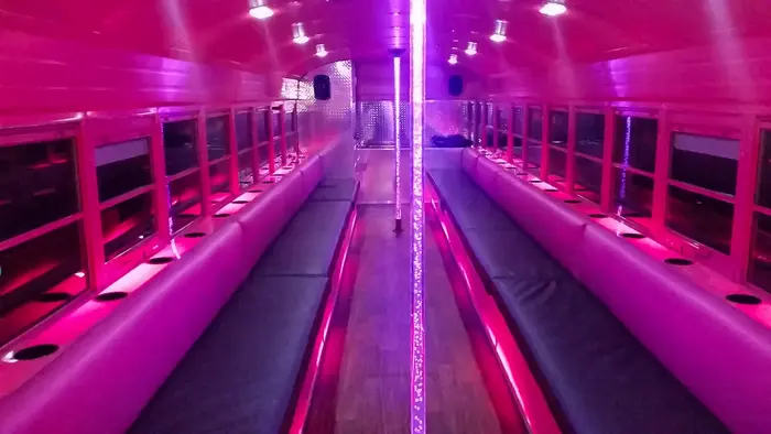 The-Pink-Ribbon-Party-Bus-2-Rental-MN (1)
