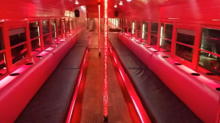 The Pink Ribbon Party Bus 20