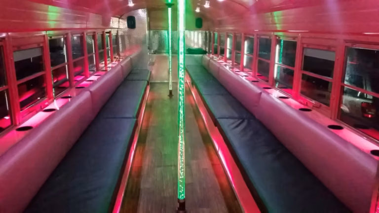 The Pink Ribbon Party Bus 21