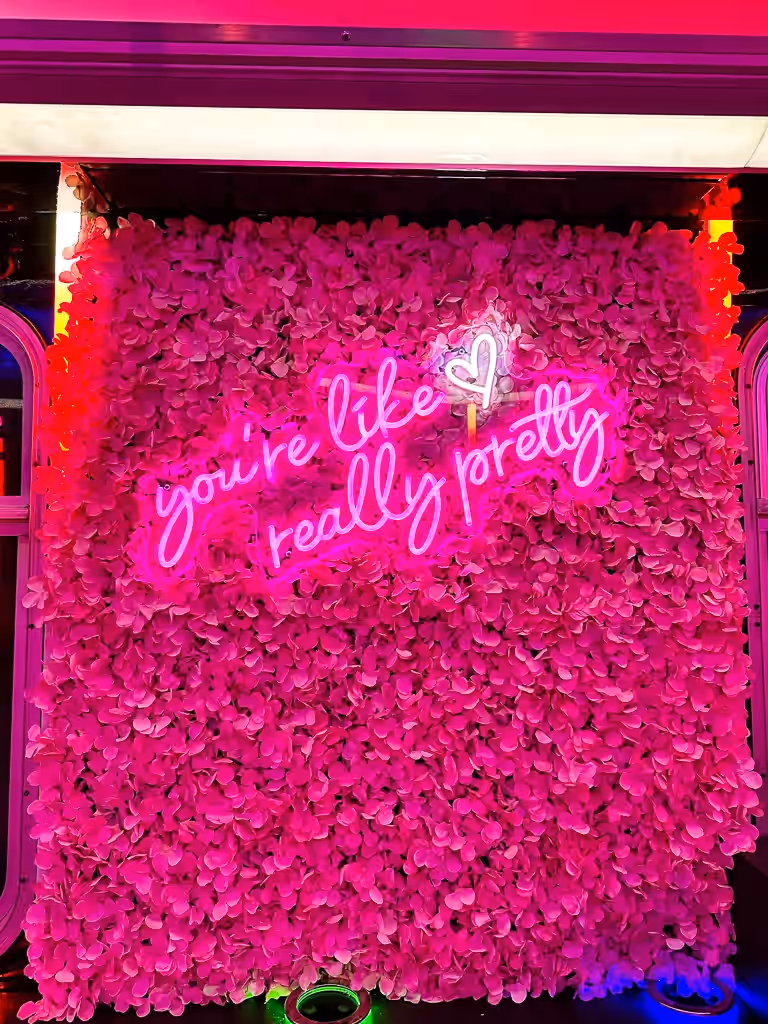 The Pinkalicious Party Bus Minnesota