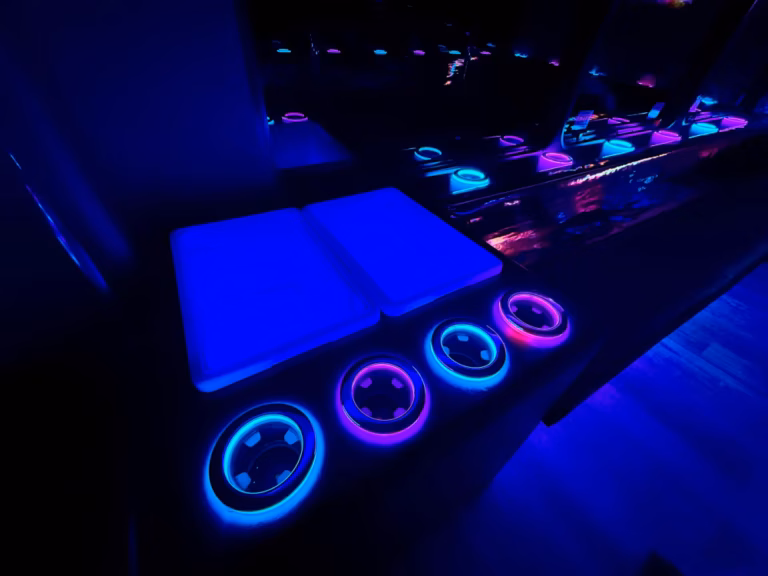 The Rose Party Bus 25 scaled