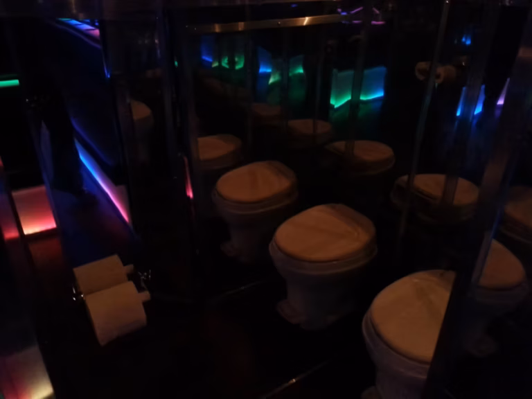 The Vegas Party Bus 16 Rental Woodbury
