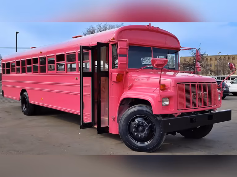 The-Pink-Ribbon-Party-Bus-1-Rental-562h-1000x750